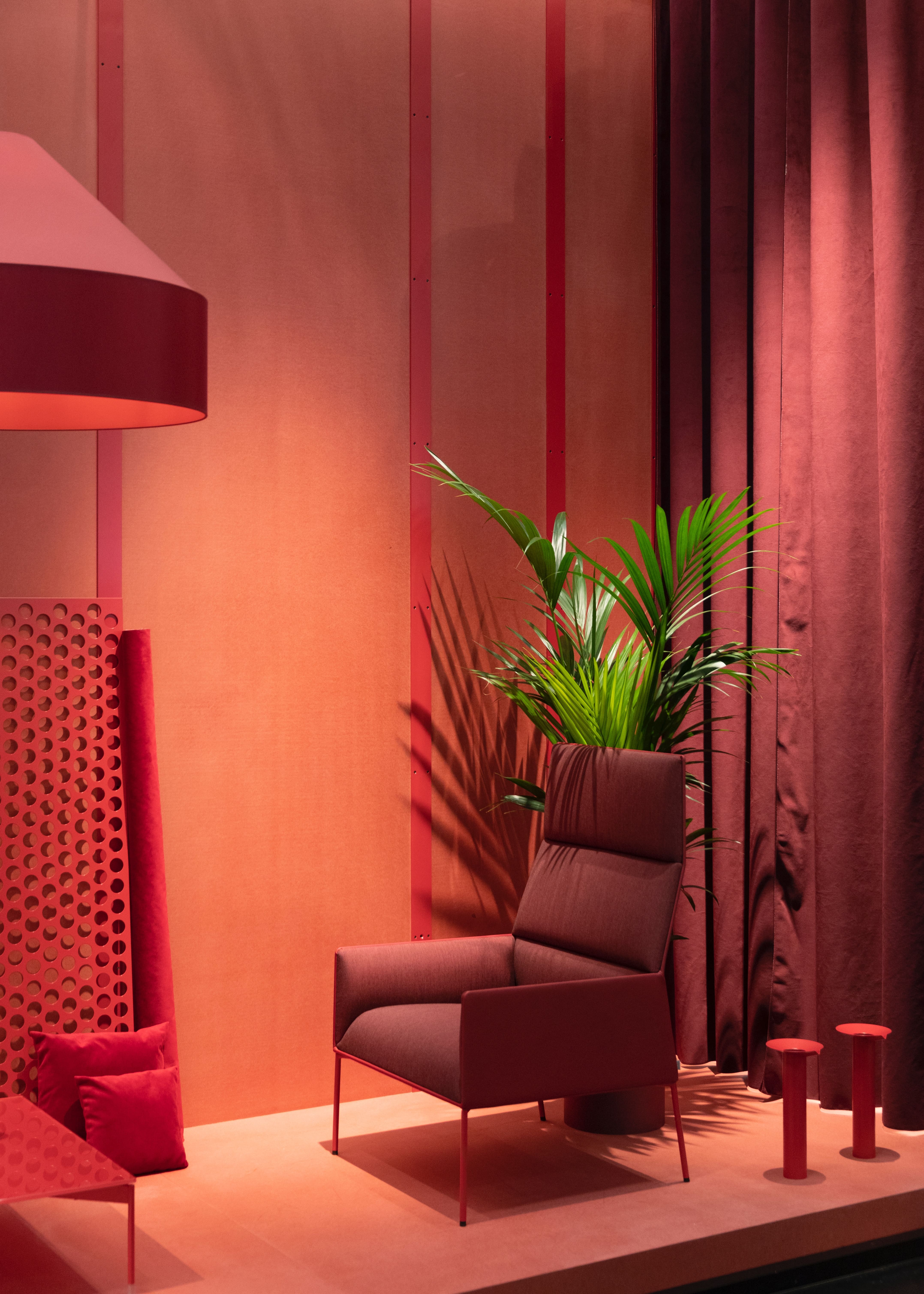 Stylish Red colored room with a chair and a sapling